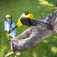  , USA Tree Care Pros